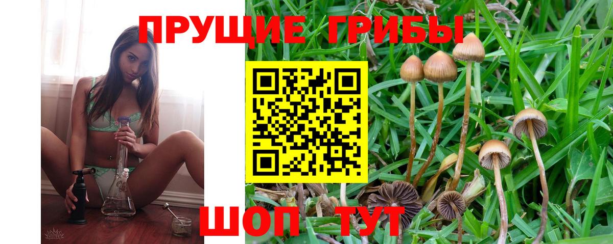 Галлюциногенные грибы прущие грибы Клинцы