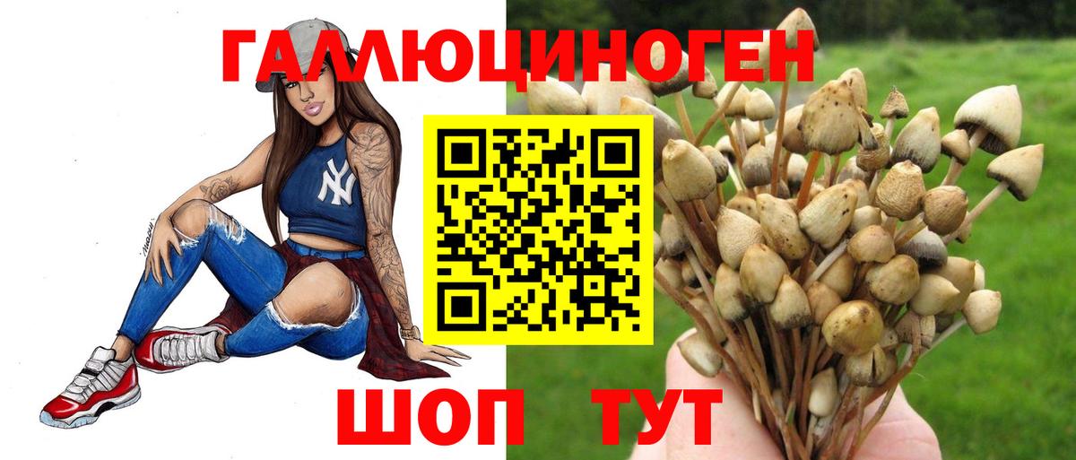 Псилоцибиновые грибы прущие грибы  Псилоцибиновые грибы Psilocybe  Вход с VPN  Клинцы 
